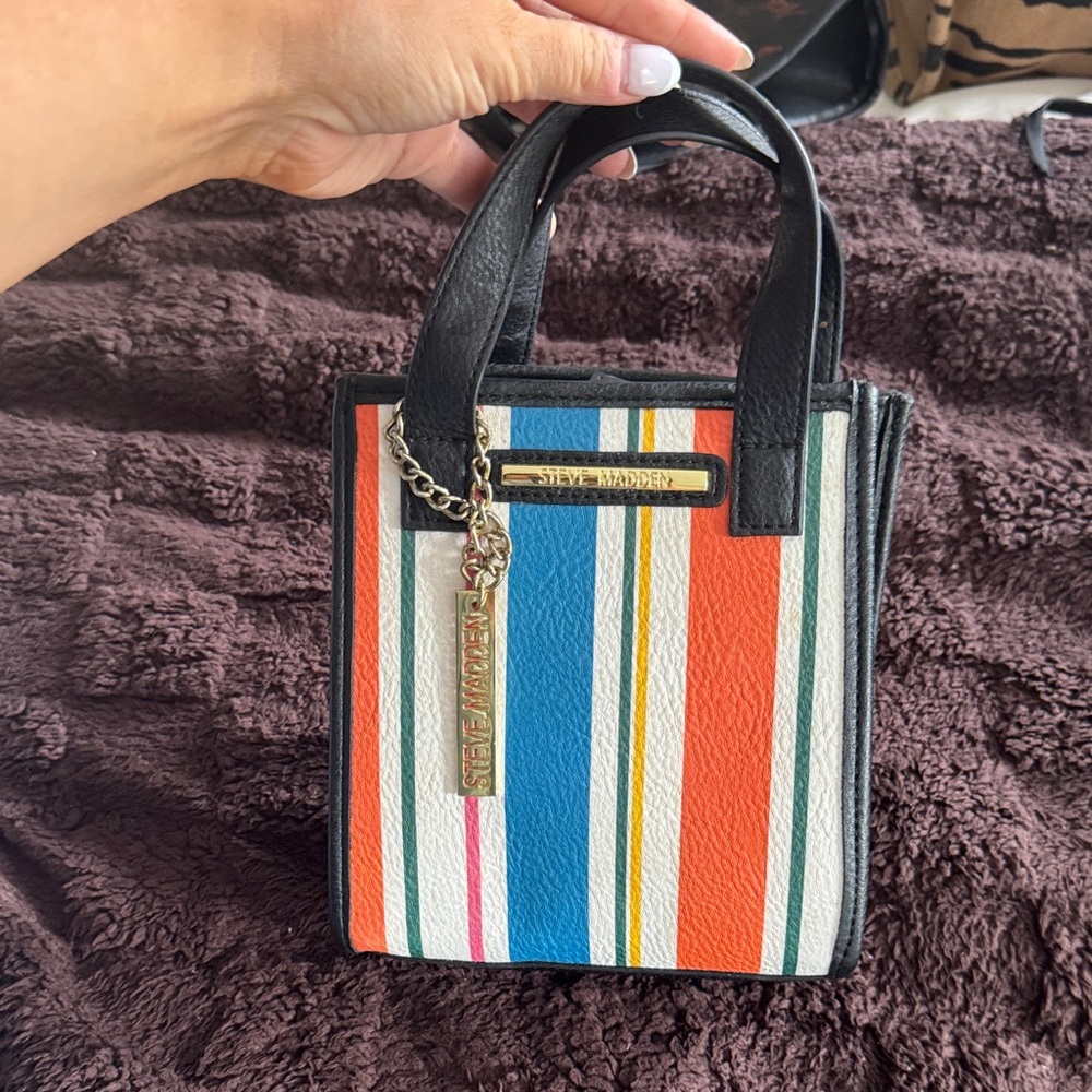 Steve Madden Colorful Striped Mini Bag with Black Handles